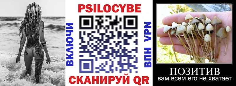 kraken   Судак  Псилоцибиновые грибы Psilocybine cubensis  цена  