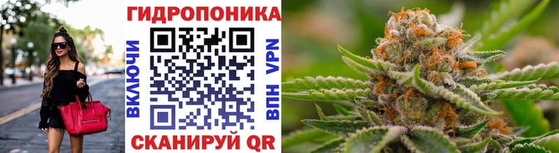хочу наркоту  Судак  Бошки марихуана конопля 